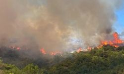 Çorum'da orman yangını 