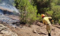 Denizli’de çıkan orman yangını kontrol altına alındı