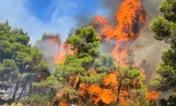 Denizli'deki orman yangını 4. gününde devam ediyor