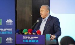 Eski TBMM Başkanı Şentop: Türkiye'de yaşayan herkes anayasada kendisini bulmalı