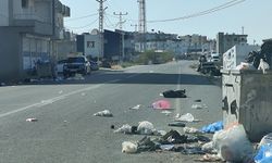 Güçlükonak'ta çöp krizi: Caddeler çöp yığınlarına teslim