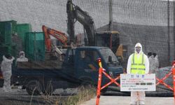 Güney Kore'de yılın ilk kuş gribi vakası tespit edildi