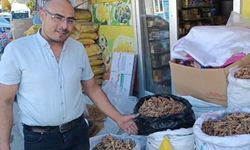 Hasadı başlayan 'sumak' ın kilosu 350 TL'den satılıyor