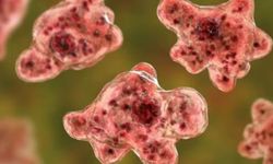 Hindistan'da beyin yiyen amipten 19 kişi öldü