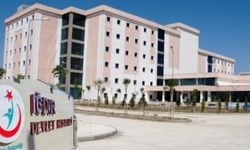 Iğdır’da yıldırım çarpması sonucu 18 yaşındaki genç hayatını kaybetti