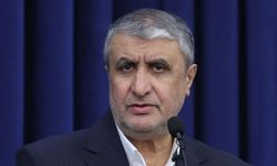 İran: UAEA, hegemonik düzenin etkisi altında