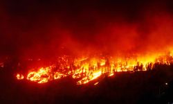 Karabük'te orman yangını