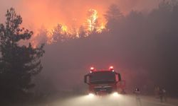 Kastamonu ve Karabük’te orman yangınları sürüyor