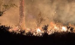 Kastamonu’da orman yangını 