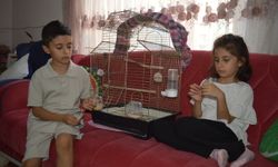 Küçük kardeşlerin yürek burkan çağrısı: Papağanımız Zeytin’i geri getirin