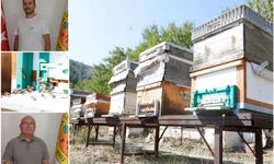 Kuraklık ve yangın arıcılığı tehdit ediyor, sektör temsilcileri endişeli