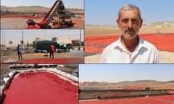 Kurutmalık ve salça üreticileri: Yoğun talebe yetişemiyoruz