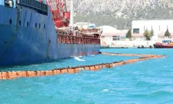 Liman devleti denetiminin uygulanmasına ilişkin esaslar belirlendi