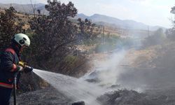 Malatya'da bahçe yangınlarında ağaçlar zarar gördü