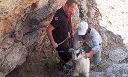 Malatya'da dağda mahsur kalan keçiler kurtarıldı