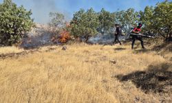 Mardin’de  ormanlık alanda çıkan yangın 3 saatte kontrol altına alındı