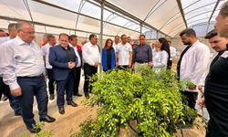 Mersin’de "Biyolojik Mücadele Değerlendirme Toplantısı" yapıldı