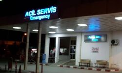 Mersin’de ceviz toplarken akıma kapılan kişi hastaneye götürülürken kazada öldü