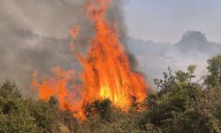 Mersin'de korkutan yangın