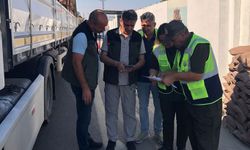 Mersin'de orman suçlarına karşı önleme araması yapıldı