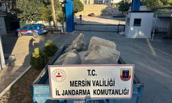 Mersin’de tarihi eser kaçakçılarına operasyon: 2 kişi gözaltında