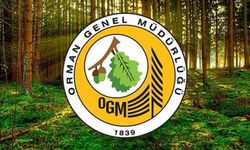 OGM, engelli ve eski hükümlü statüsünde 262 daimi işçi alacak