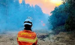 Orman yangınında görev alan gönüllüler için yeni düzenleme