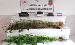 Samsun'da uyuşturucu operasyonu: 2 tutuklama