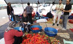 Şanlıurfa’da mevsimlik işçilere sağlık molası