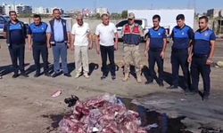 Şanlıurfa’da sağlıksız et denetimi: 250 kilo et imha edildi