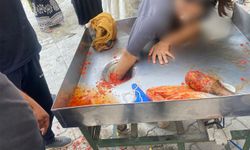 Şanlıurfa’da salça makinesine eli sıkışan genç kız kurtarıldı