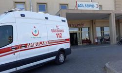 Şanlıurfa’da tarım işçilerini taşıyan minibüs devrildi: 20 yaralı