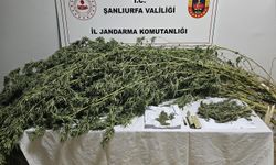 Şanlıurfa’da uyuşturucu operasyonu: Kenevir ve esrar ele geçirildi