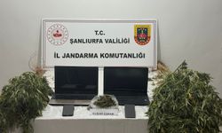 Şanlıurfa’da uyuşturucu ve dolandırıcılık operasyonu