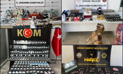 Şırnak’ta asayiş operasyonları: 97 gözaltı