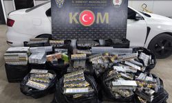 Şırnak’ta narkotik, asayiş ve kaçakçılık operasyonları: 31 gözaltı