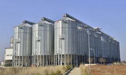 TMO, 3,5 milyar liralık ürün bedelini üreticilerin hesaplarına yatırdı