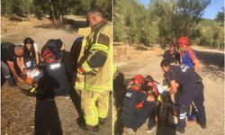 Tunceli’de trafik kazası: 5 yaralı