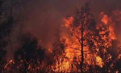 Yangın evlere sıçradı