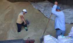 Zahire Pazarı’nda zor mesai: Hamalların emek dolu mesaisi 