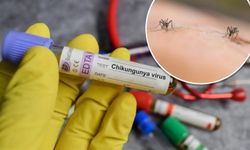 ABD'de chikungunya vakası görüldü