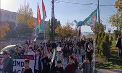 Ağrı'da Aksa Tufanı'na destek yürüyüşü düzenlendi