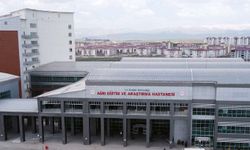 Ağrı’da ambulans ile kamyonet çarpıştı: 7 yaralı