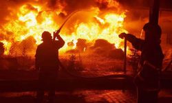 Ahırda çıkan yangında 170 koyun telef oldu