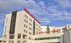 Aydın’da torununu kurtarmak isterken hayatını kaybetti