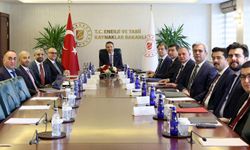 Bakan Bayraktar, BAE'li enerji şirketiyle 1 milyar dolarlık yatırım projesini görüştü