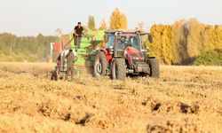Bakan Yumaklı Bitlis’te kuru fasulye hasadına katıldı
