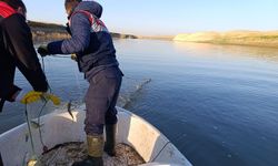 Batman'da 10 bin metre yasak ağ toplatıldı