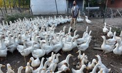 Beslediği kanatlı hayvanlarla kurduğu sıcak bağ tebessüm ettiriyor