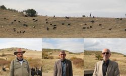 ​Bingöl’de köylülerden TOKİ’ye tepki: Meralarımızı geri istiyoruz